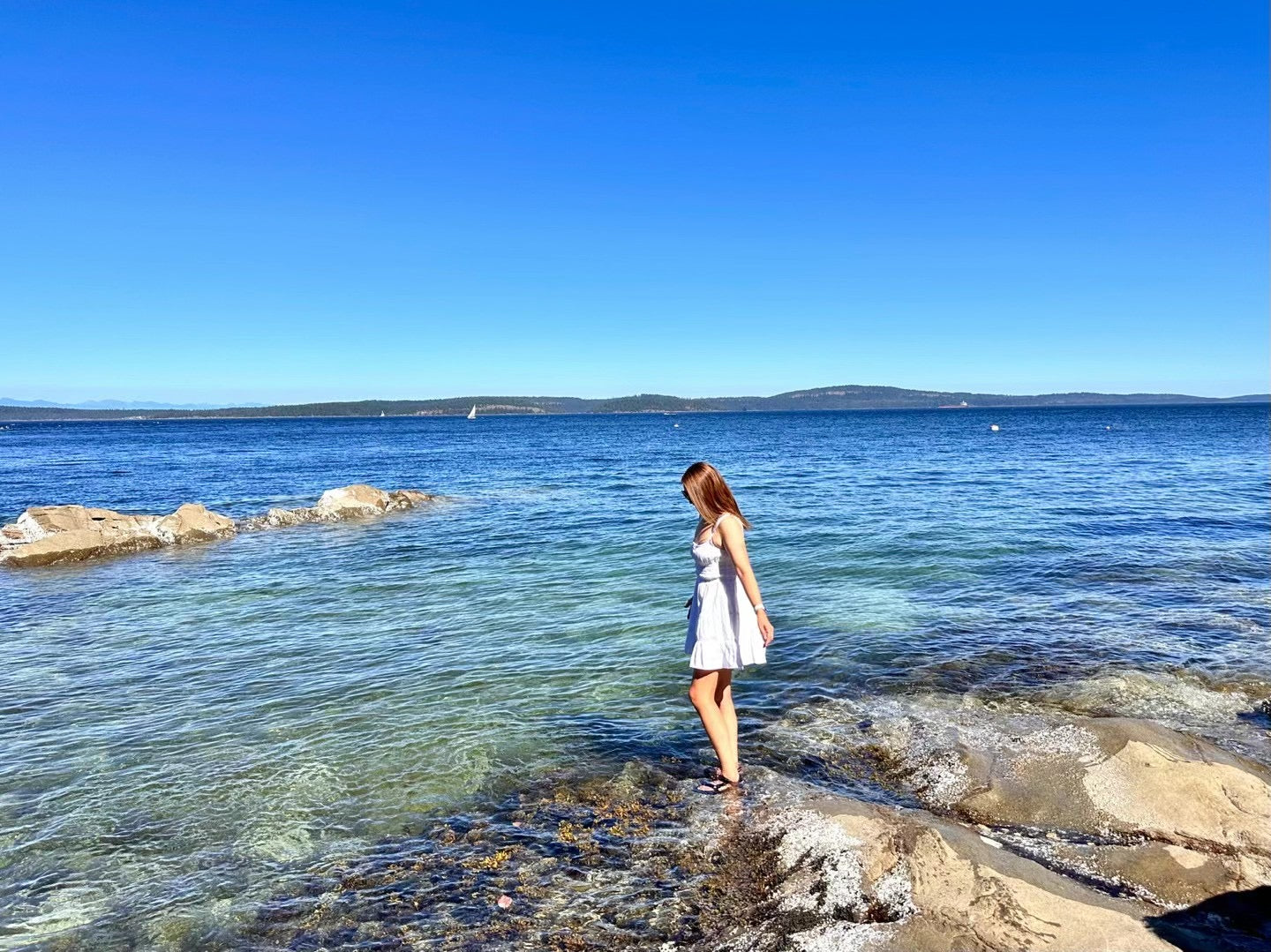 Monet's Garden by the Sea